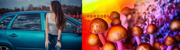СК Богданович