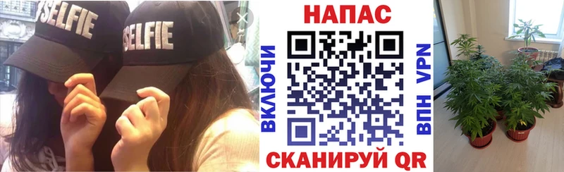 Каннабис марихуана Гремячинск