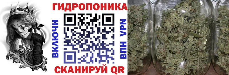 Бошки марихуана семена  это состав  Гремячинск 